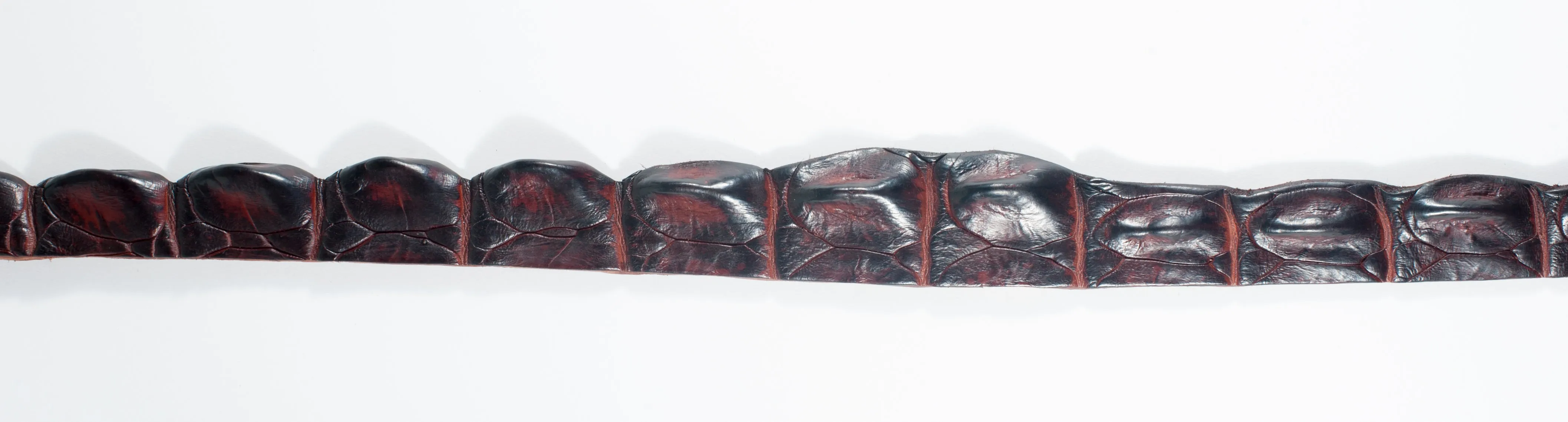 Crocodile Skin Hatband